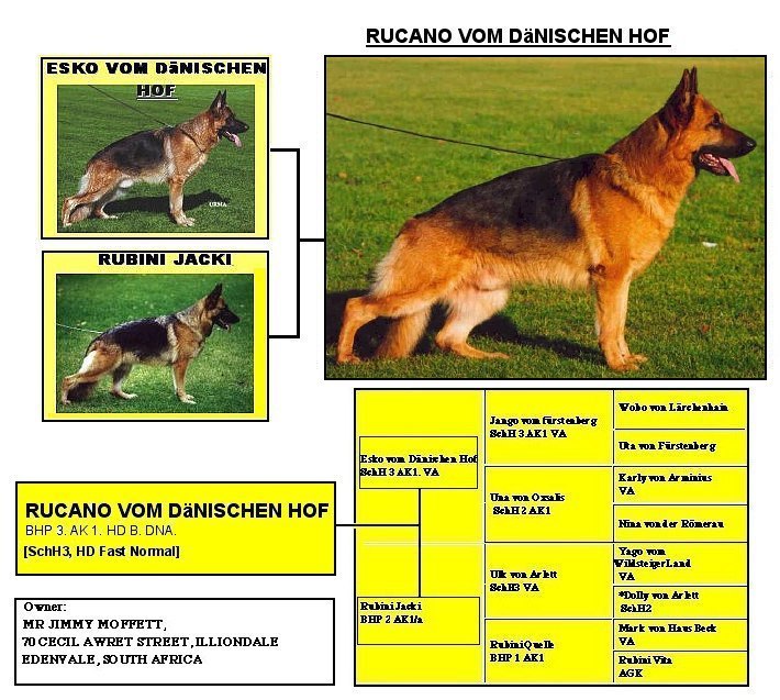 rucano_a.jpg